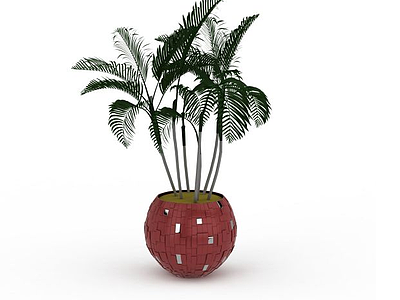 3d袖珍椰子树免费模型