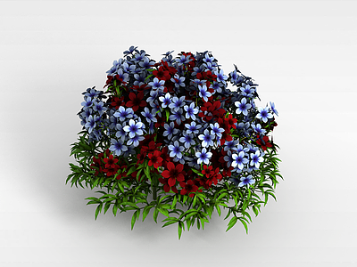 3d园艺花卉模型