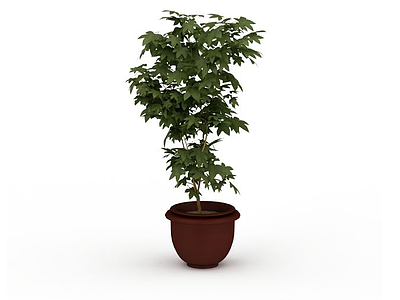 3d绿植盆栽免费模型
