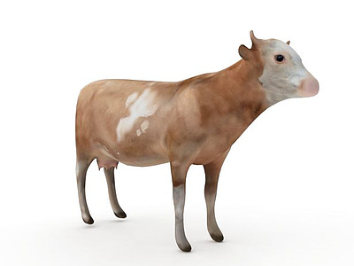 动物牛模型3d模型