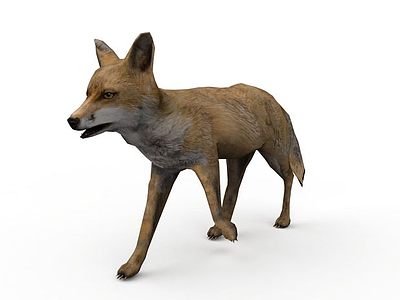 3d狐狸模型