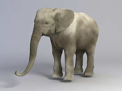 大象模型3d模型