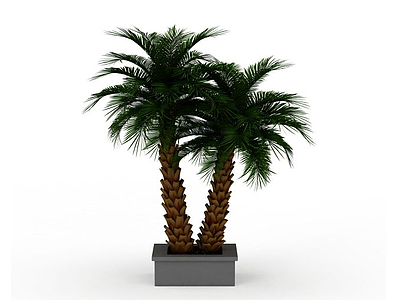 3d装饰椰子树免费模型