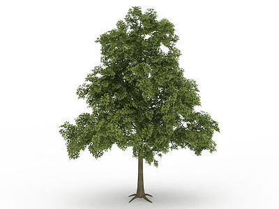 3d园林装饰树免费模型