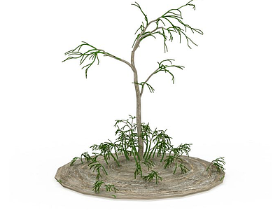 3d稀有异形植物模型