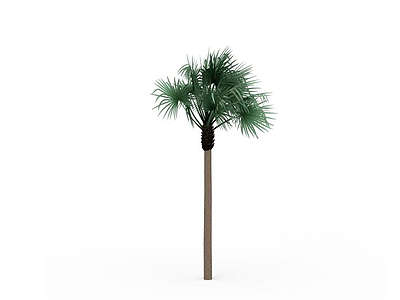 3d热带植物免费模型