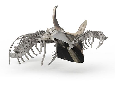 动物化石模型3d模型