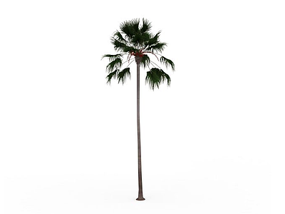热带植物模型3d模型
