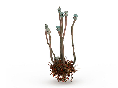 3d海底珍奇植物模型