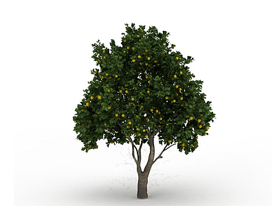 茂盛桔子树模型3d模型