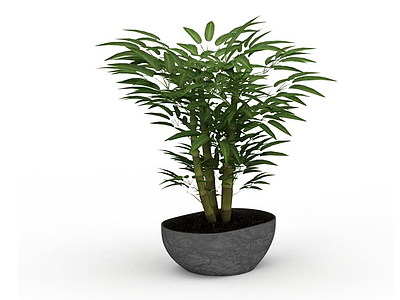 3d矮竹子盆景免费模型