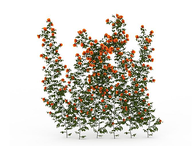 3d公园藤蔓花卉免费模型