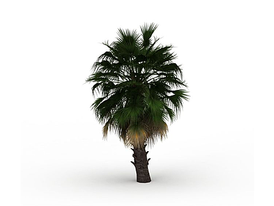 热带绿色植物模型3d模型