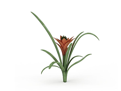 3d花草植物模型