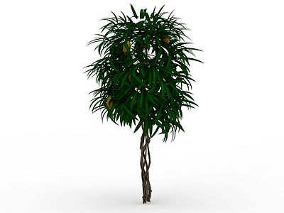 3d园林植物水果树模型