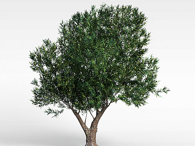 3d园林大柳树模型