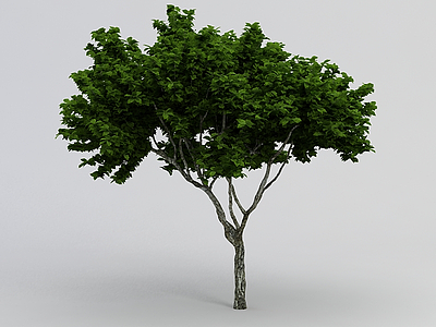 园林绿植模型3d模型
