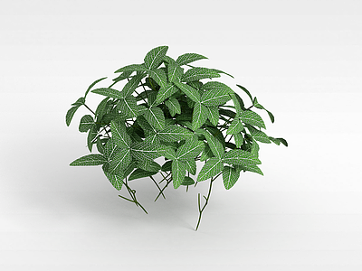 观叶植物模型