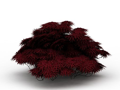 红色灌木模型3d模型