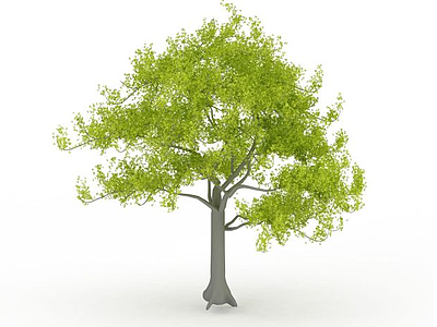 3d大树免费模型