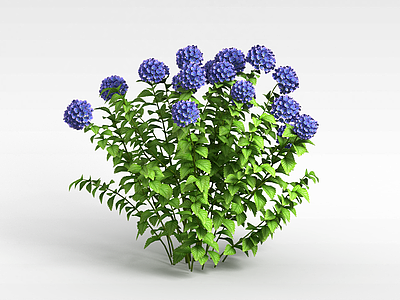 3d蓝色花丛模型