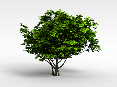 3d园林绿化植物模型