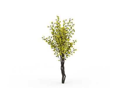 装饰花树模型3d模型