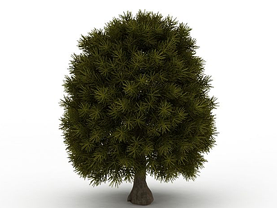 园林松树模型3d模型