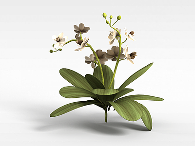 开花装饰绿植模型3d模型
