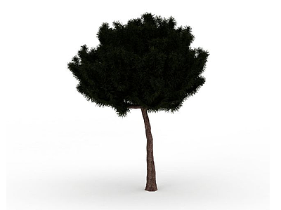 园林针叶植物模型3d模型