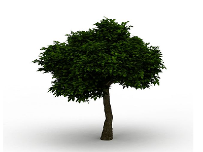 园林大树模型