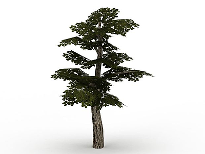3d公园景观树免费模型