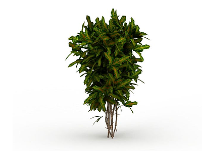 灌木绿植模型
