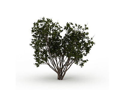 园林绿化树模型3d模型