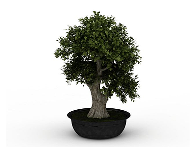 树木盆景模型3d模型