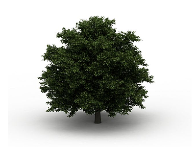 景观树模型