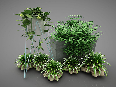 3d现代装饰植物模型