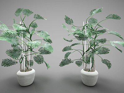 现代装饰植物模型