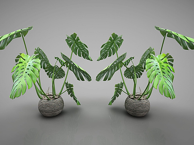 现代装饰植物模型3d模型