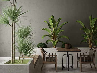 现代装饰植物3d模型