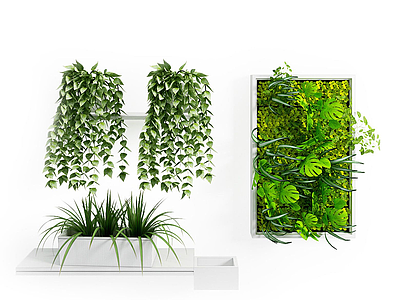 3d现代装饰植物吊兰模型