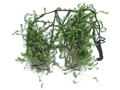 现代装饰藤蔓植物模型3d模型
