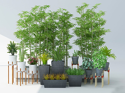 现代绿植竹子模型3d模型