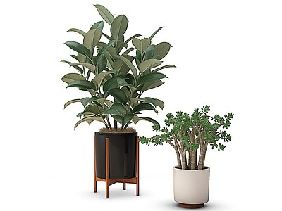 现代盆栽绿植3d模型