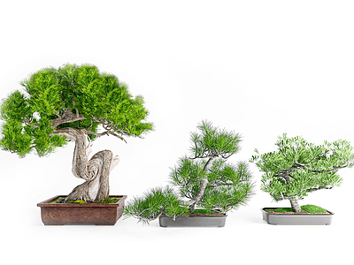 现代盆栽模型