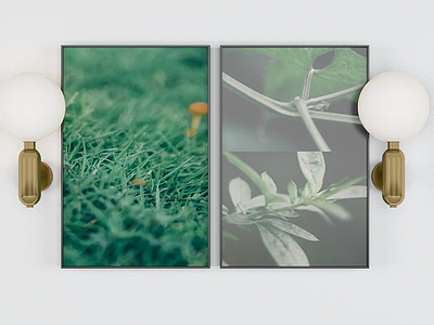 3d植物小草装饰画模型