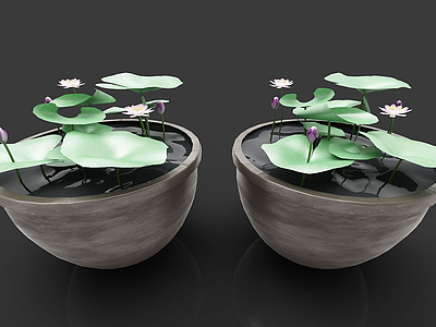 3d植物装饰画模型