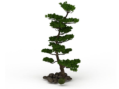 公园松树模型3d模型