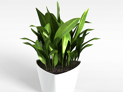 办公室绿植模型3d模型