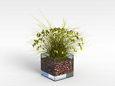 3d土培绿植模型